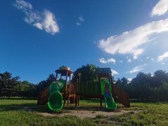 -大兴滨河森林公园