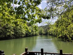 -青龙山国家森林公园