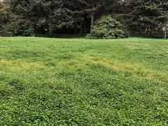 -黑龙江省森林植物园