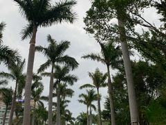-深圳大梅沙京基洲际度假酒店