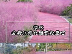 -新江湾城公园