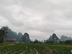 -明仕田园