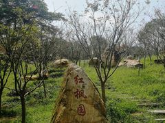 -广州市帽峰山景区