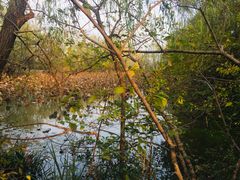 -溱湖国家湿地公园