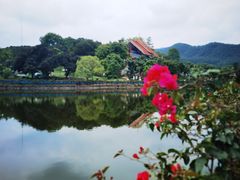 -大屏嶂森林公园