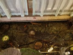 -淀里船宴(卓达店)