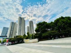 -青枫公园