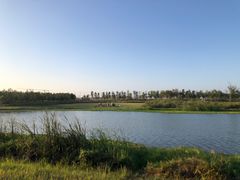 -春花秋色城市公园