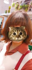 -NOMA造型 Salon