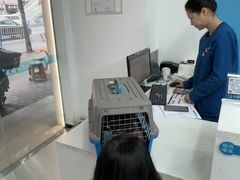 -贝利宠物医院·骨科·眼科·肿瘤转诊中心(南坪诊疗中心)