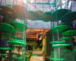 -恐龙探索乐园(磁器口店)