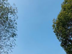 -虾吃虾涮.虾火锅.肉蟹煲(步步高梅溪新天地店)