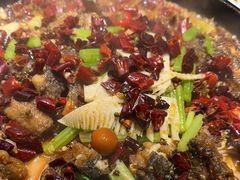 -老板恋上鱼(恒隆广场店)