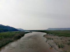 -白氏鲶鱼汤(白亮1号店)