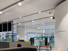 -麦当劳(北京大兴机场二层国内到达(安检外)店)