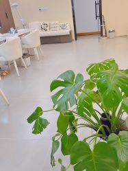 -1R日式轻奢美睫美甲翘睫