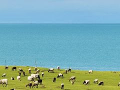 -青海湖国家重点风景名胜区
