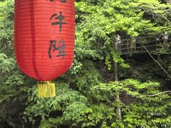 -石台牯牛降景区