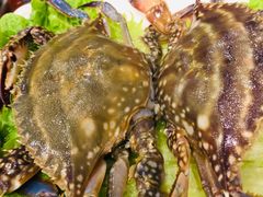 梭子蟹-吉友粥底火锅(方斜路店)