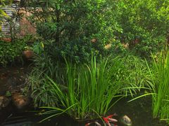 -凤凰山斑鱼馆(恭城店)