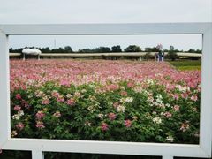 -江苏三台山国家森林公园
