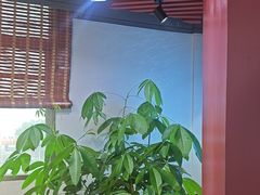 -百年银屏蚝烙·潮汕菜·非遗(乐山店)
