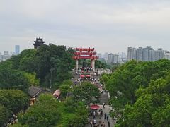 -黄鹤楼公园(黄鹤楼)