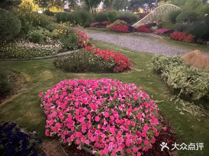 北龙湖湿地公园图片