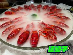 经典冰镇龙虾-红盔甲·小龙虾(天钥桥店)