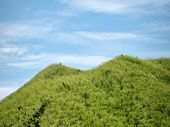 -浙北大峡谷
