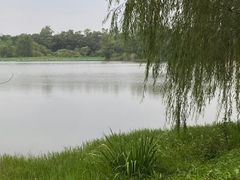 -青龙湖公园