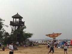 -瑶湖郊野森林公园
