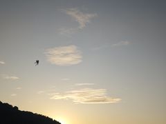 -风云岭森林公园