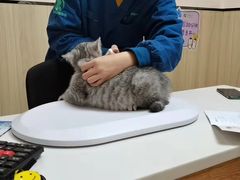 -瑞派紫金宠物医院24小时·骨科·中兽医·重症转诊中心(番禺大石院)