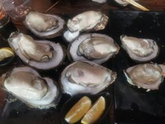 -土蚝·高压锅生蚝(百姓美食街店)