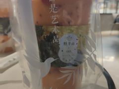 -野萃山·潮汕厚果汁(十亩地店)