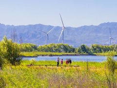 -野鸭湖国家湿地公园