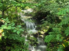 -天女山森林公园