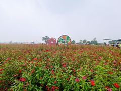 -嘉北郊野公园