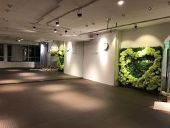 -子午孕教·孕妇瑜伽产后恢复(市北店)