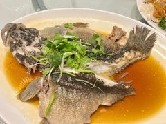 清蒸笋壳鱼-詠春园