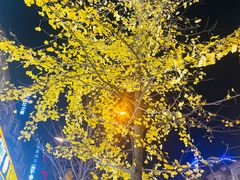 -胖哥俩肉蟹煲(杭州下沙学林街店)