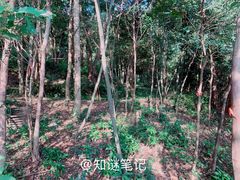 -黄公望隐居地