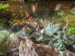 -聚缘堂·海鲜私房菜(松岭路店)