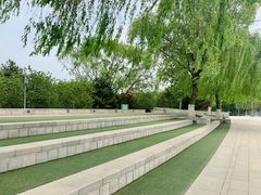 -大兴滨河森林公园