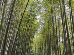 -宝岩生态观光园