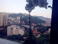 iphone_upload_pic-厦门泰谷酒店(中山路镇海路地铁站店)