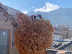 -唐咖精品咖啡(大理古城手冲店)