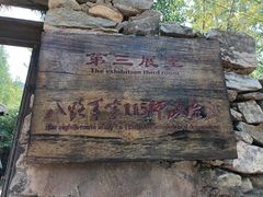 -抱犊崮国家森林公园
