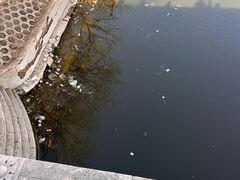 -赵州桥景区